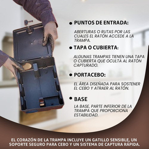 Mpq Trampa Roedor Ratones-raton 5 Pzas Apilable Reutilizable