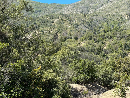 Parcelas En El Cerro El Roble, Olmué; Cerquita Del Cielo