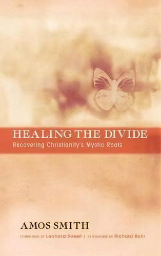 Healing The Divide, De Amos Smith. Editorial Resource Publications (ca) En Inglés