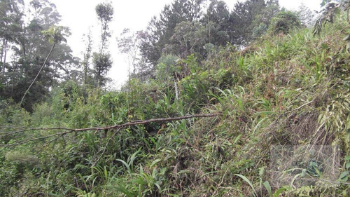 Terreno Residencial Chácaras Recanto Verde - Te0299