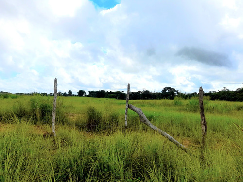 Virginia Vende Terreno En Tipuro Maturín 33 Hectareas