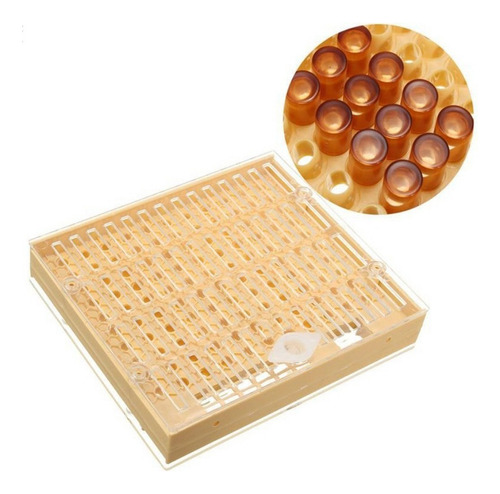 . Kit Material Apícola Caja Jaula De Abeja Reina C