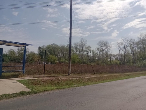Imagen 2 de 6 de Se Vende Hectárea En Pilar, Por La Entrada De Casuarinas
