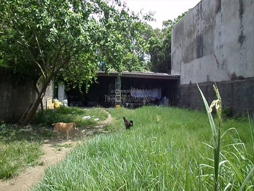 Imagem 3 de 5 de Casa - Venda - Bopiranga - Itanhaem - Ita3029