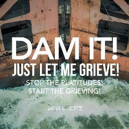 Dam It! Just Let Me Grieve! : Stop The Platitudes! Start The Grieving!, De Jana L Hertz. Editorial Balboa Press, Tapa Blanda En Inglés