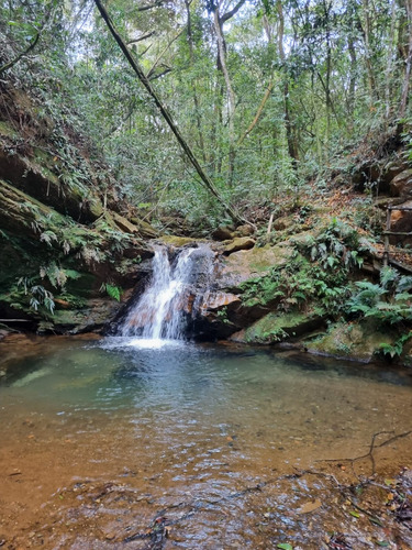 Sítio E Terreno 58.000 M². Único! Muita Água, Reserva Permanente Rio Acima, Mg