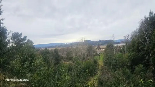 Terreno De 5 Hectáreas En Punucapa, Valdivia