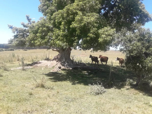 Campo Cerca De La Ruta 12 Y Ruta 60