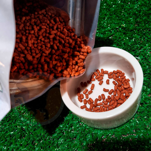 Imagem 2 de 7 de Ração Super Premium Tartarugas - Megazoo - 280 Gr