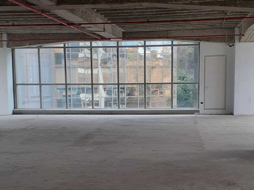 Imagen 6 de 14 de Se Alquila Oficina 390m2 Santa Paula 2778