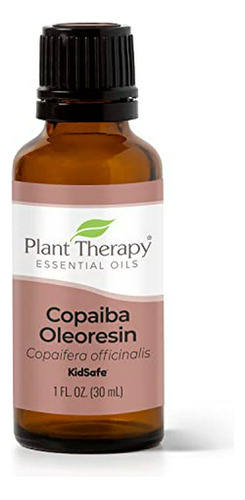 Plant Therapy Copaiba Oleoresin 30 Ml (1 Oz) 100% Puro, Sin 