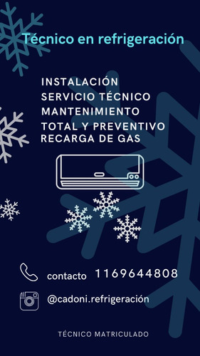 Carga De Gas En Aires Acondicionados, Técnico Matriculado 