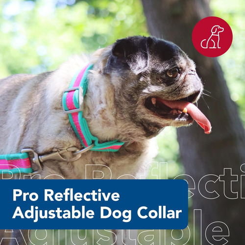 Coastal Pet - Pro - Collar Reflectante Ajustable Para Perros