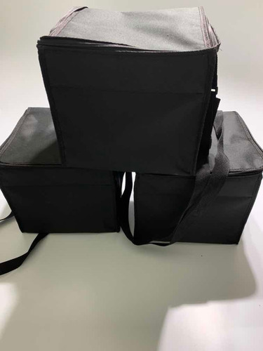 Bolso Térmico Para Delivery De Empanadas Y Bandejas