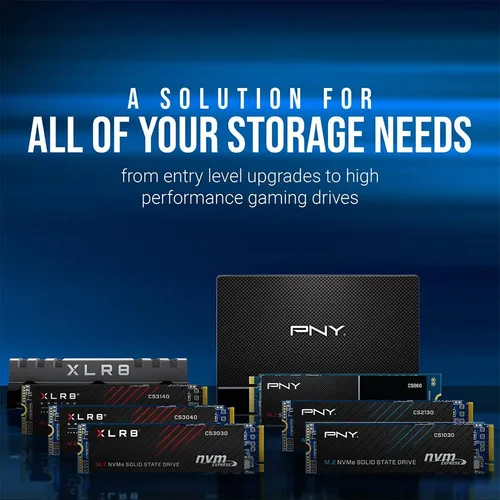 Pny Cs900 250gb 3d Nand 2.5 Sata Iii Internal Solid Stat...