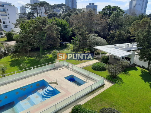 Imagen 13 de 15 de Punta Del Este, Zona Aidy Grill