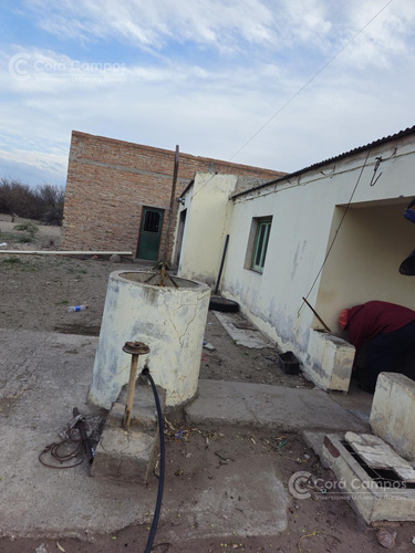 Se Vende Campo Ganadero De 3500 Ha En Mendoza, Argentina