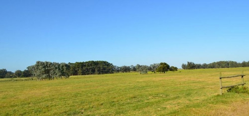 Venta De Chacra En José Ignacio, Maldonado.
