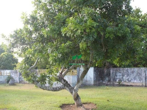 Chácara À Venda, 4960 M² Por R$ 800.000 - Barra Do Jacuípe - Camaçari/ba - Ch0004