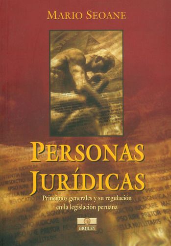 Personas Jurídicas. Principios Generales Y Su Regulación, De Mario Seoane. Serie 9972040733, Vol. 1. Editorial Distrididactika, Tapa Blanda, Edición 2005 En Español, 2005