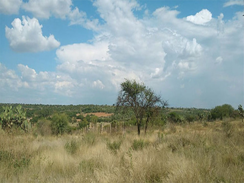 Imagen 7 de 7 de Venta De Terreno Semi Urbano | Colonia Vista Hermosa