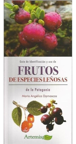 Guia De Identificacion Y Usao De Frutos De Especies Leños 