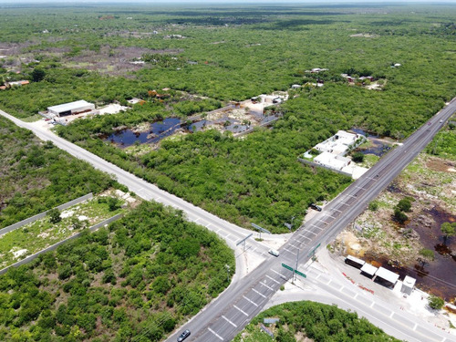 Imagen 7 de 13 de Terreno - Conkal Para Proyecto Comercial