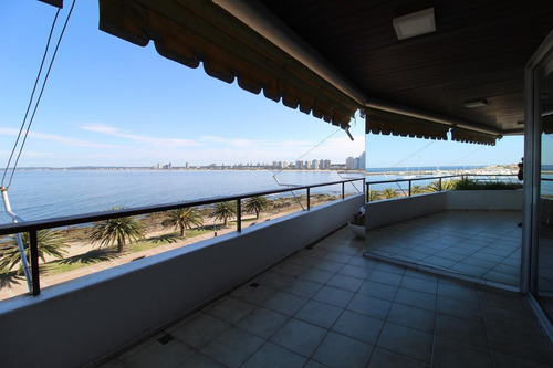 Imagen 8 de 24 de Apartamento - Península