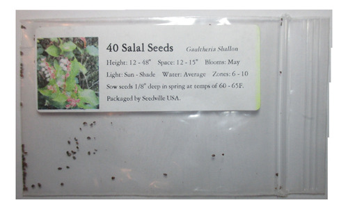 Salal Gaultheria Shallon ¡ ! 40 Semillas Importadas De U.s.a