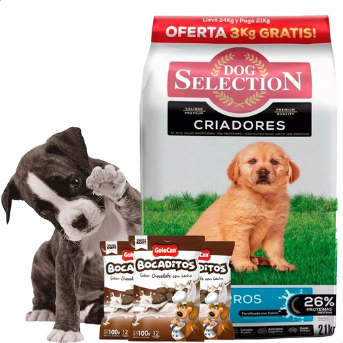 Dog Selection Cachorros 21 + 3kg + Bocaditos Golocan X3