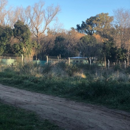 Imagen 10 de 24 de Lote 1560mts Escriturado Excelente Lugar Semi Cerrado Francisco Alvarez