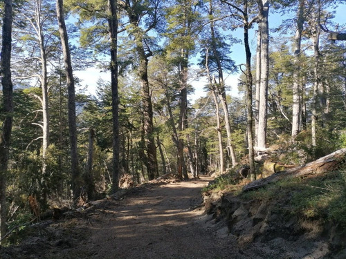 Lote 2.000 M2 En La Montaña Vista Al Lago Paraje Rincón Ruta 231 Villa La Angostura