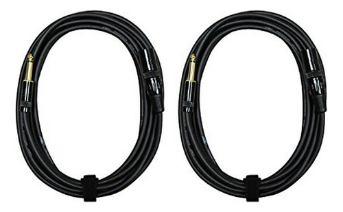 Audio 2000s E05112p2 1-4 Inch Ts To Xlr Male 12 Feet 2 Pack 