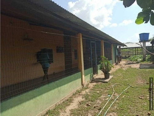 Imagen 9 de 14 de Productiva Finca En Elorza Apure, Acepta Criptomoneda