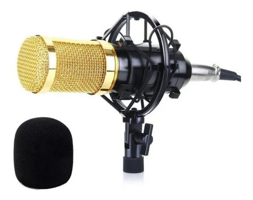 Microfone Podcast Estúdio Profissional P/gravação Bm800 Cor Dourado Dourado