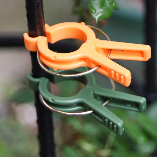 Clips De Soporte Para Plantas, Clips Para Naranja 20 Piezas