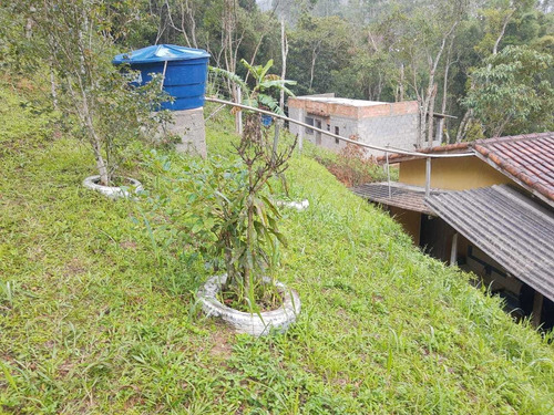 Imagem 4 de 14 de Chácara 4.000 M² / Plantações E Árvores Frutiferas / 4 Km Br
