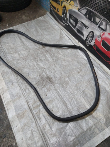 Goma Puerta Trasera Izquierda Fiat Pulse 2023 Original (Usado)