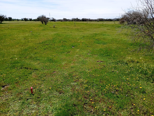 Parcela 8.000 M2 El Canelo , Comuna De Retiro - Region Maule