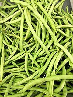 Semillas De Frijol Francés Petite Filete Para Plantar 1/4 Oz