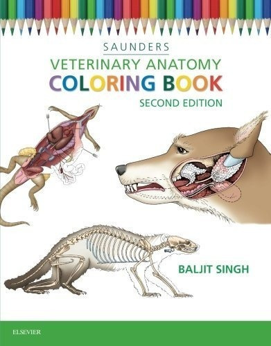 Libro De Colorear De Anatomía Veterinaria - Para Niños