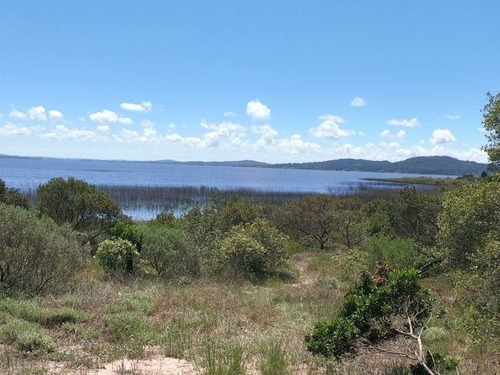 Imagen 12 de 17 de Terreno De 4.374 Mts2 Con Costa A Laguna Del Sauce