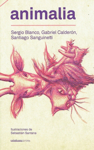 Animalia - Sergio / Calderón  Gabriel / Sanguinetti Blanco