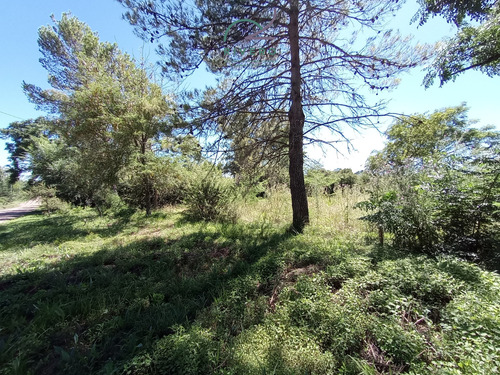 Se Vende Lote En Cordoba