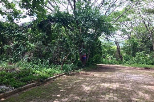Terreno En Venta En Don Ventura