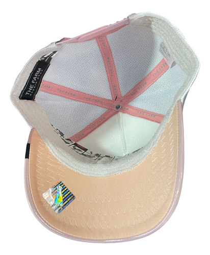 Gorra Goorin Bros Squad Charol Edición Limitada