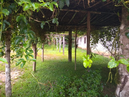 Imagem 19 de 19 de Sítio À Venda Em Miracatu Com Ampla Área Aberta Aproveitável! - 416 - 33675526