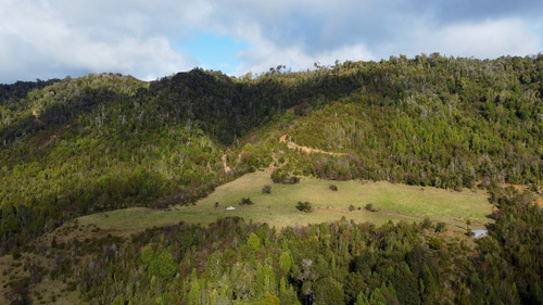 Imagen 16 de 22 de Campo De 42ha Estaquilla - Los Muermos