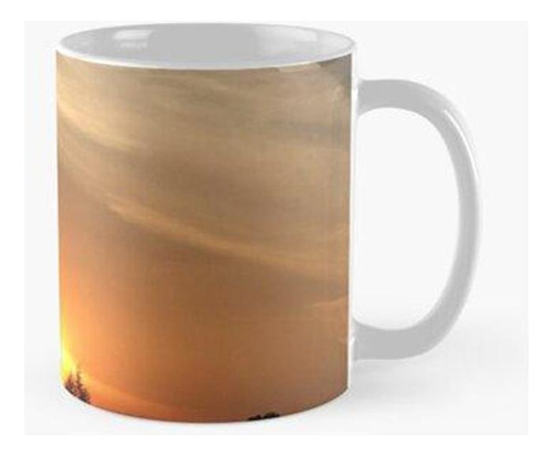 Taza Atardecer Y Vistas Hermosas Calidad Premium