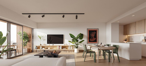 Palmera Nova
